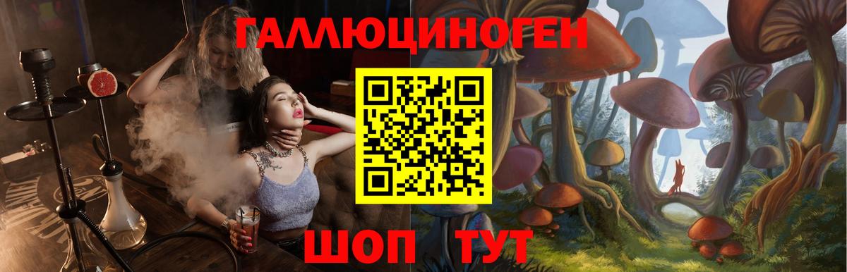 Воскресенск  Галлюциногенные грибы Psilocybe  Вход с VPN 